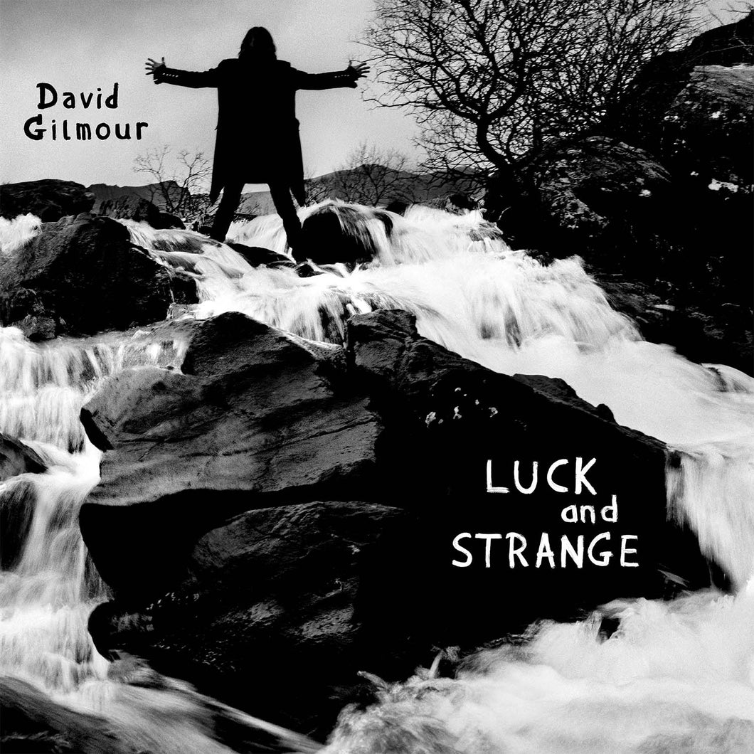 DAVID GILMOUR - Luck and Strange (Vinyle)