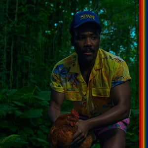 CHILDISH GAMBINO - Bando Stone & The New World (Vinyle)