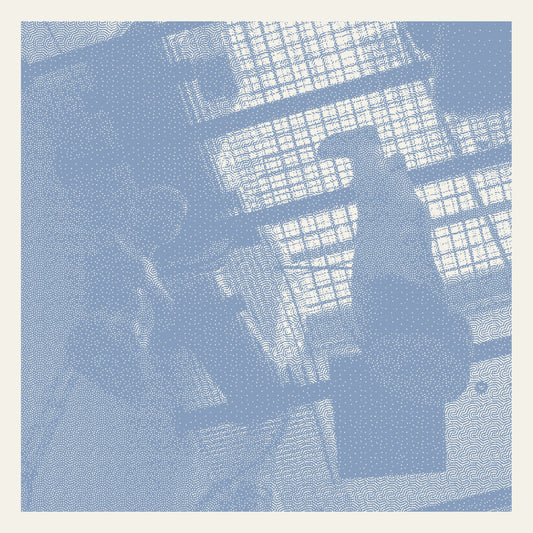 BDRMM - Microtonic (Vinyle)