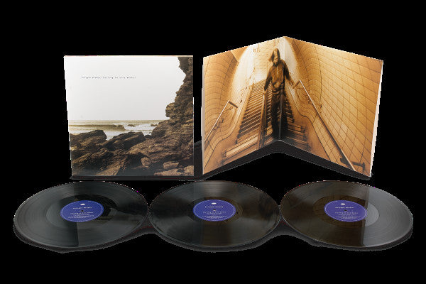 POLYGON WINDOW - Surfing On Sine Waves (Vinyle)