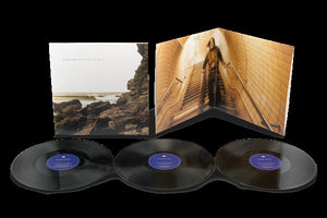 POLYGON WINDOW - Surfing On Sine Waves (Vinyle) PRÉCOMMANDE
