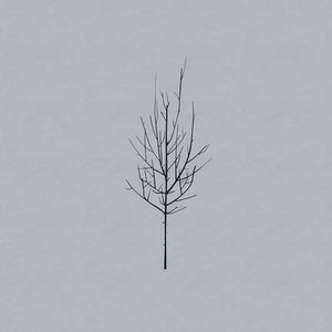 LOW - Ones And Sixes (Vinyle)