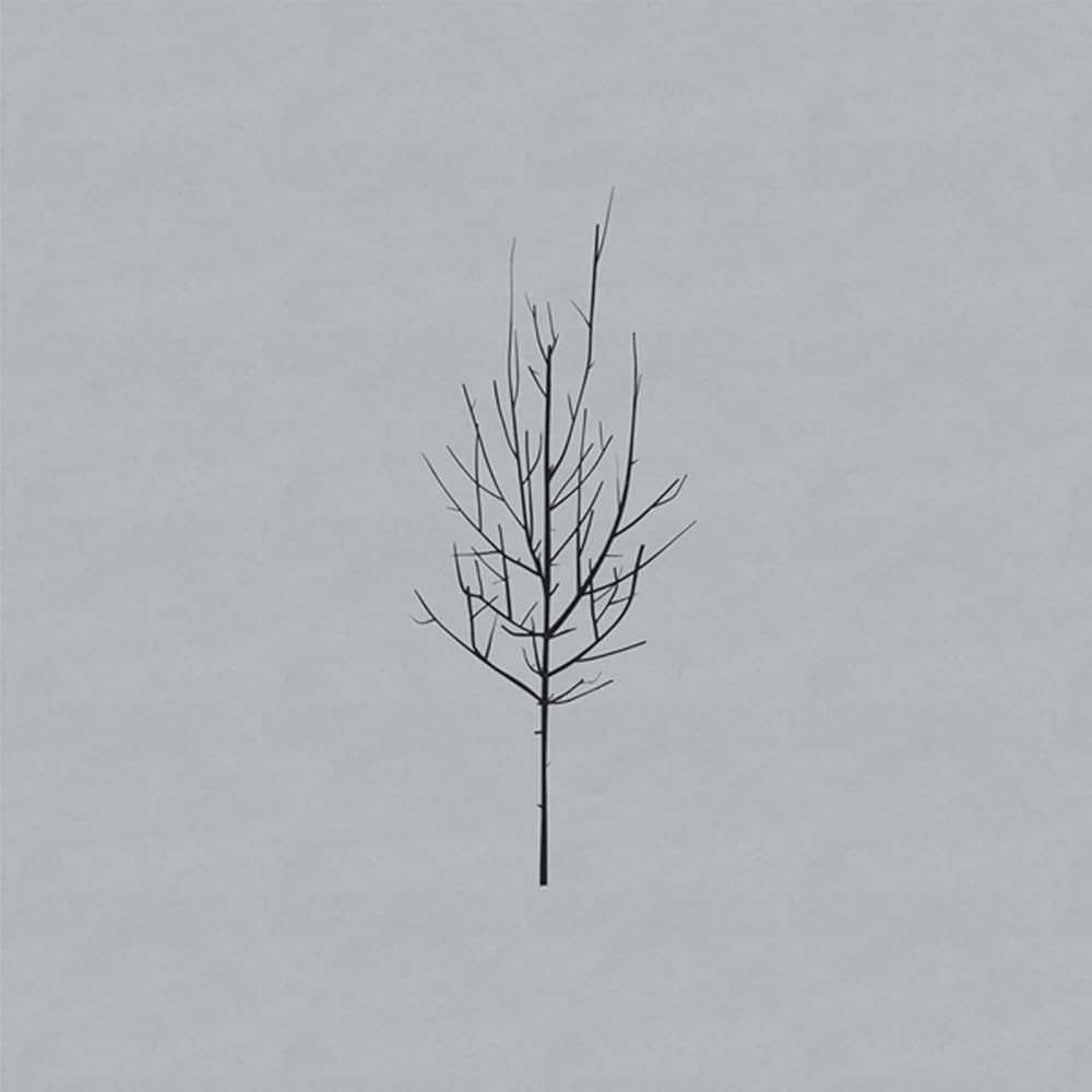 LOW - Ones And Sixes (Vinyle)