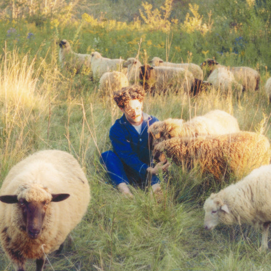 RESAVOIR - Themes for Dreams (Vinyle) PRÉCOMMANDE