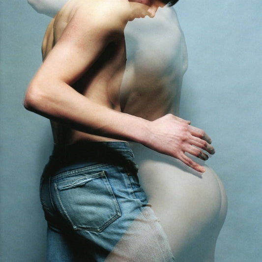 PLACEBO - Sleeping With Ghosts (Vinyle)