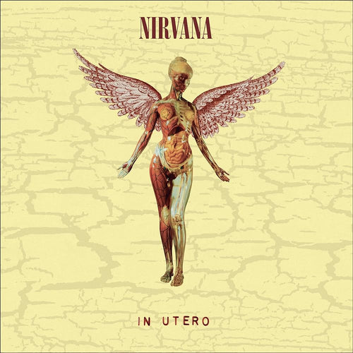 NIRVANA - In Utero 30e anniversaire (Vinyle)