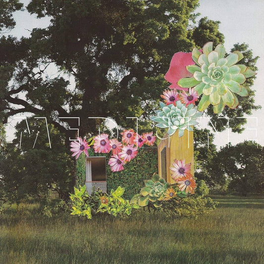MEDICINE - Home Everywhere (Vinyle)
