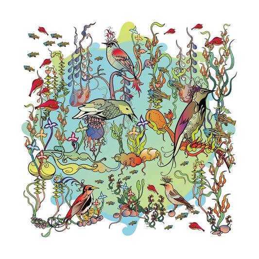 JOHN ZORN - The Dreamers: The Gentle Side (Vinyle)