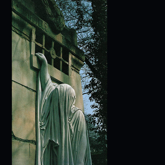 DEAD CAN DANCE - Within The Realm Of A Dying Sun (Vinyle)