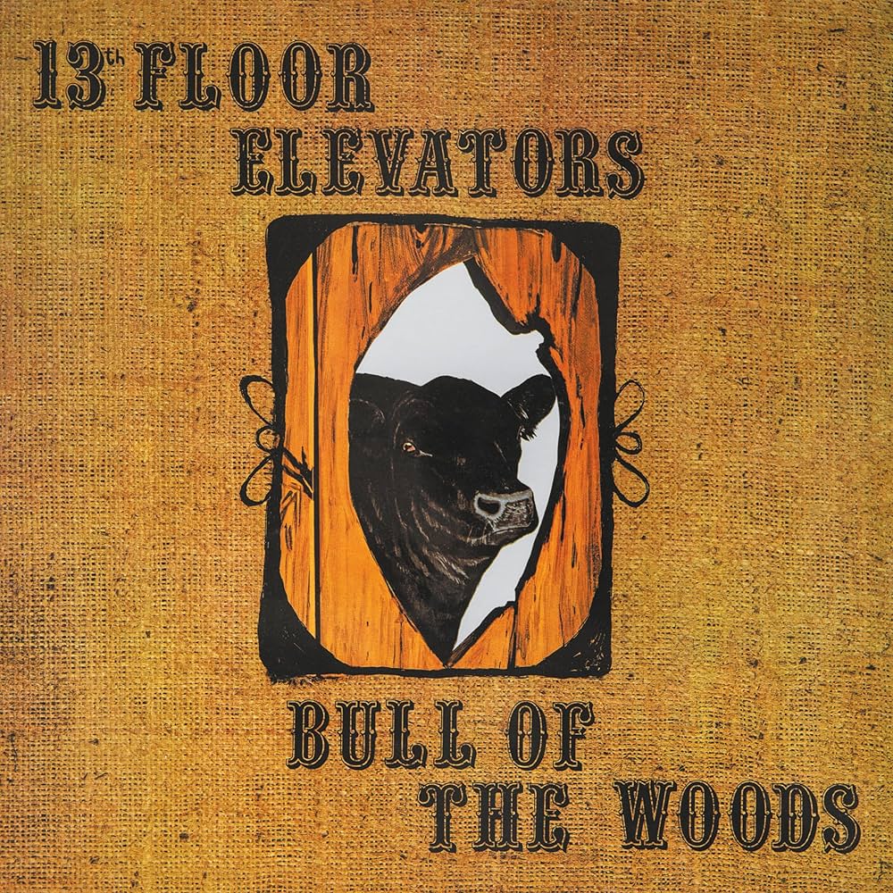 13TH FLOOR ELEVATORS - Bull Of The Woods (Vinyle)