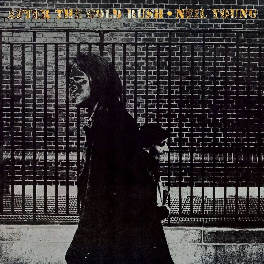 NEIL YOUNG - After the Gold Rush (Vinyle)