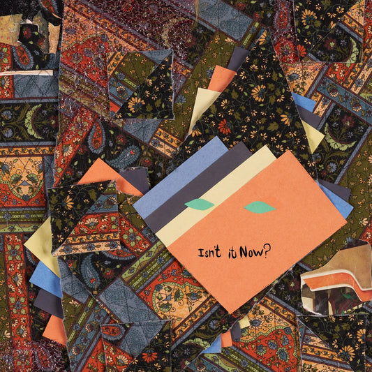 ANIMAL COLLECTIVE - Isn't It Now? (Vinyle)
