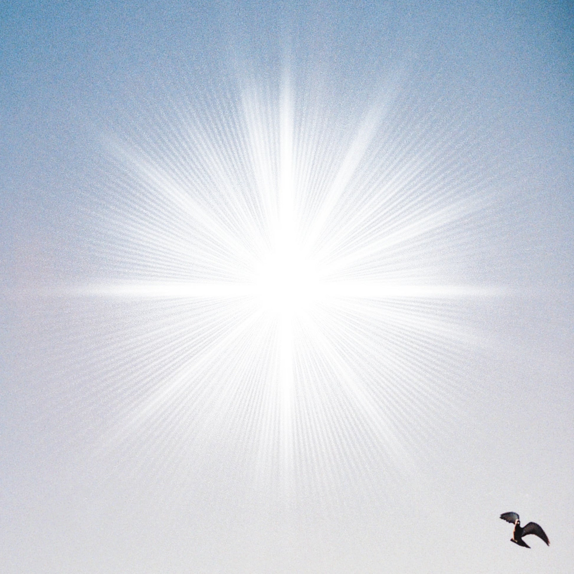 MARIE CÉLESTE - Tout ce qui brille (Vinyle) PRÉCOMMANDE - Bravo