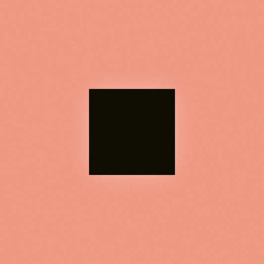 BON IVER - SABLE, fABLE (Vinyle)