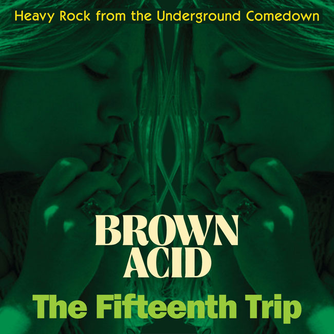 ARTISTES VARIÉS - Brown Acid: The Fifteenth Trip (Heavy Rock From The American Comedown Era) (Vinyle)