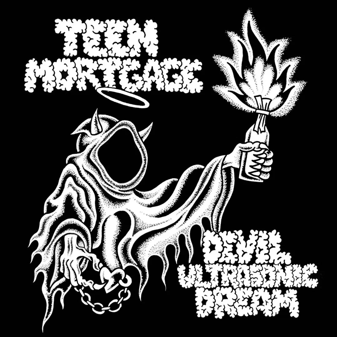 TEEN MORTGAGE - Devil Ultrasonic Dream (Vinyle)