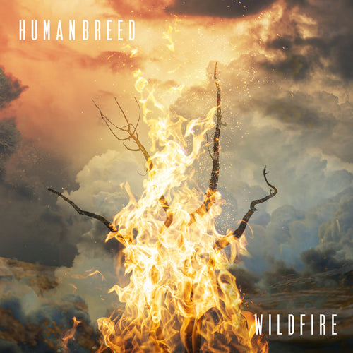 HUMAN BREED - Wildfire (Vinyle)
