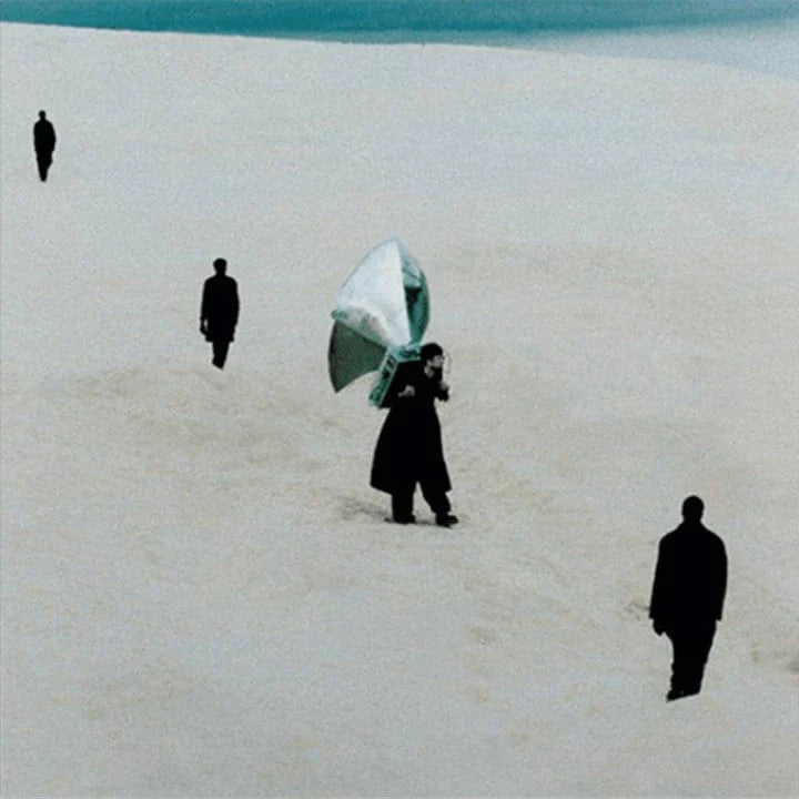 JAMES BLAKE - Playing Robots Into Heaven (Vinyle)