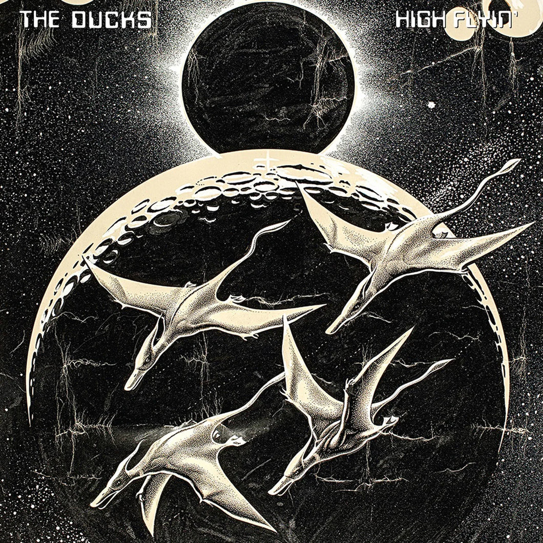 THE DUCKS - High Flyin' (Vinyle)