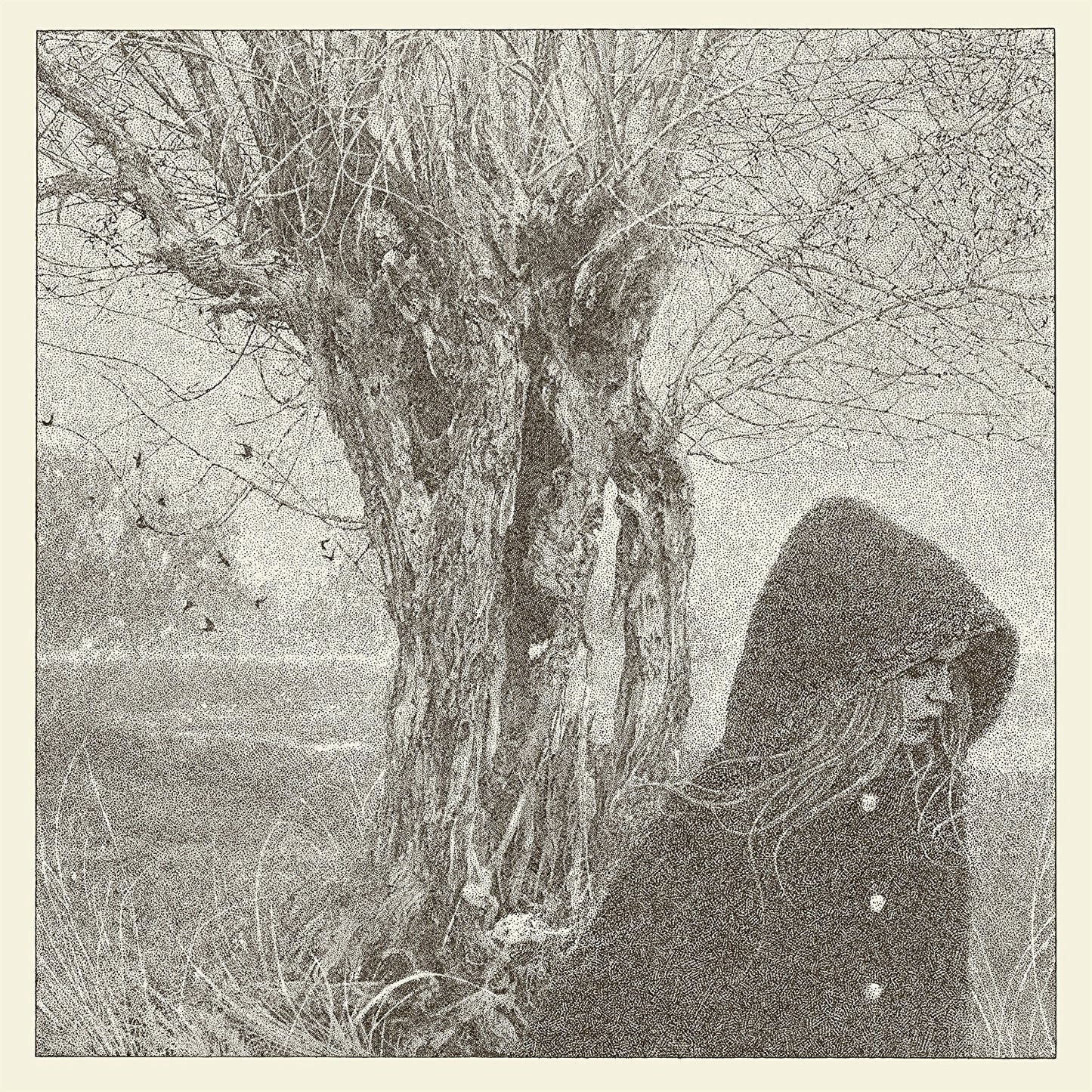 LANKUM - Between The Earth And Sky (Vinyle)
