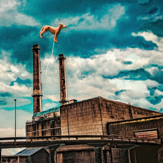 LES CHIENS - Éloge de la chute (Vinyle)