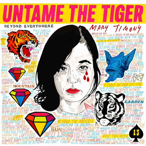 MARY TIMONY - Untame The Tiger (Vinyle)