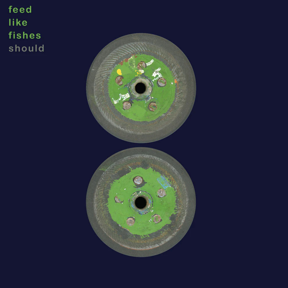 SHOULD - Feed Like Fishes (Vinyle) - Numero Group