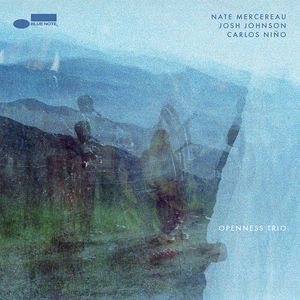 NATE MERCEREAU, JOSH JOHNSON & CARLOS NINO - Openness Trio (Vinyle)