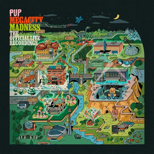 PUP - Megacity Madness: The Official Live Recordings (Vinyle)