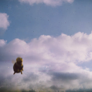 POND - Stung! (Vinyle)
