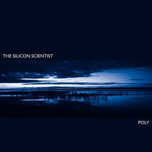 THE SILICON SCIENTIST - Poly (Vinyle)