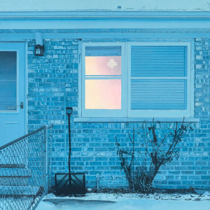 RATBOYS - The Window (Vinyle)