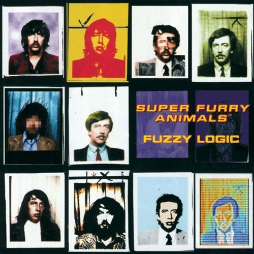 SUPER FURRY ANIMALS - Fuzzy Logic (Vinyle)