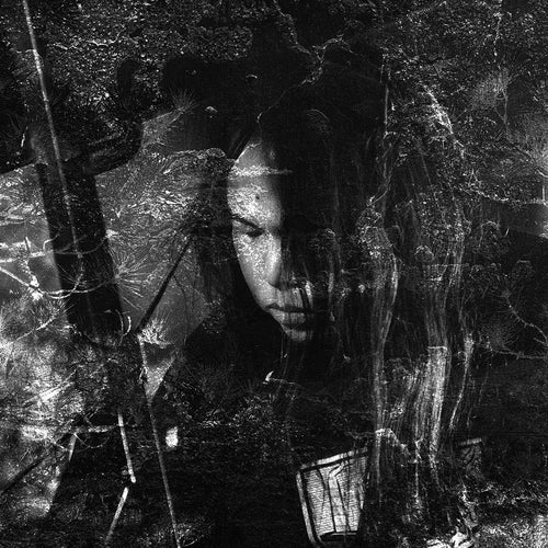THISQUIETARMY - Langue Hybride (VInyle)