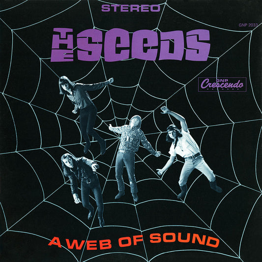 THE SEEDS - A Web Of Sound (Vinyle)