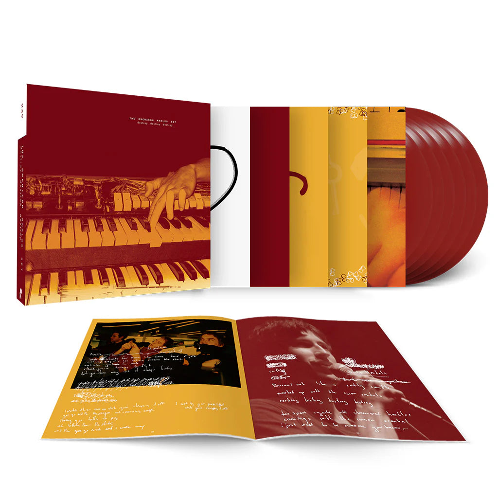 AMERICAN ANALOG SET - 	Destroy Destroy Destroy (Vinyle) PRÉCOMMANDE