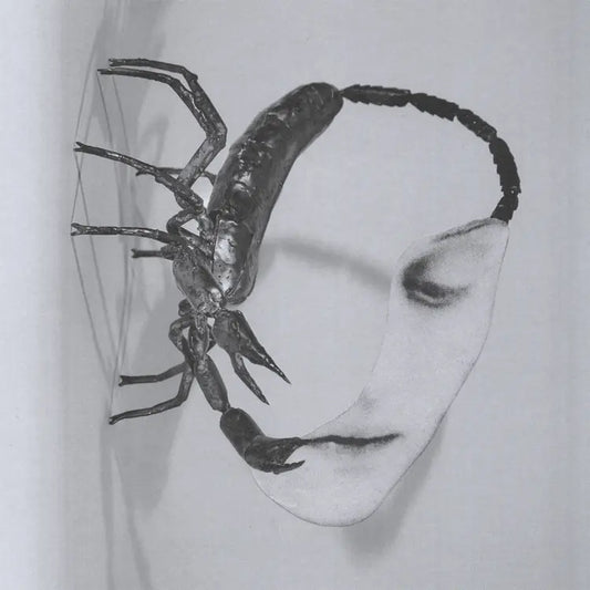 TORTOISE - Touch (Vinyle) PRÉCOMMANDE