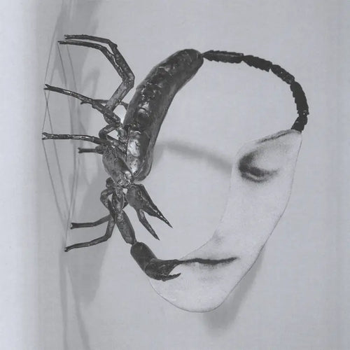 TORTOISE - Touch (Vinyle) PRÉCOMMANDE
