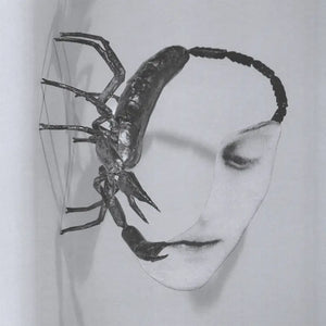 TORTOISE - Touch (Vinyle) PRÉCOMMANDE