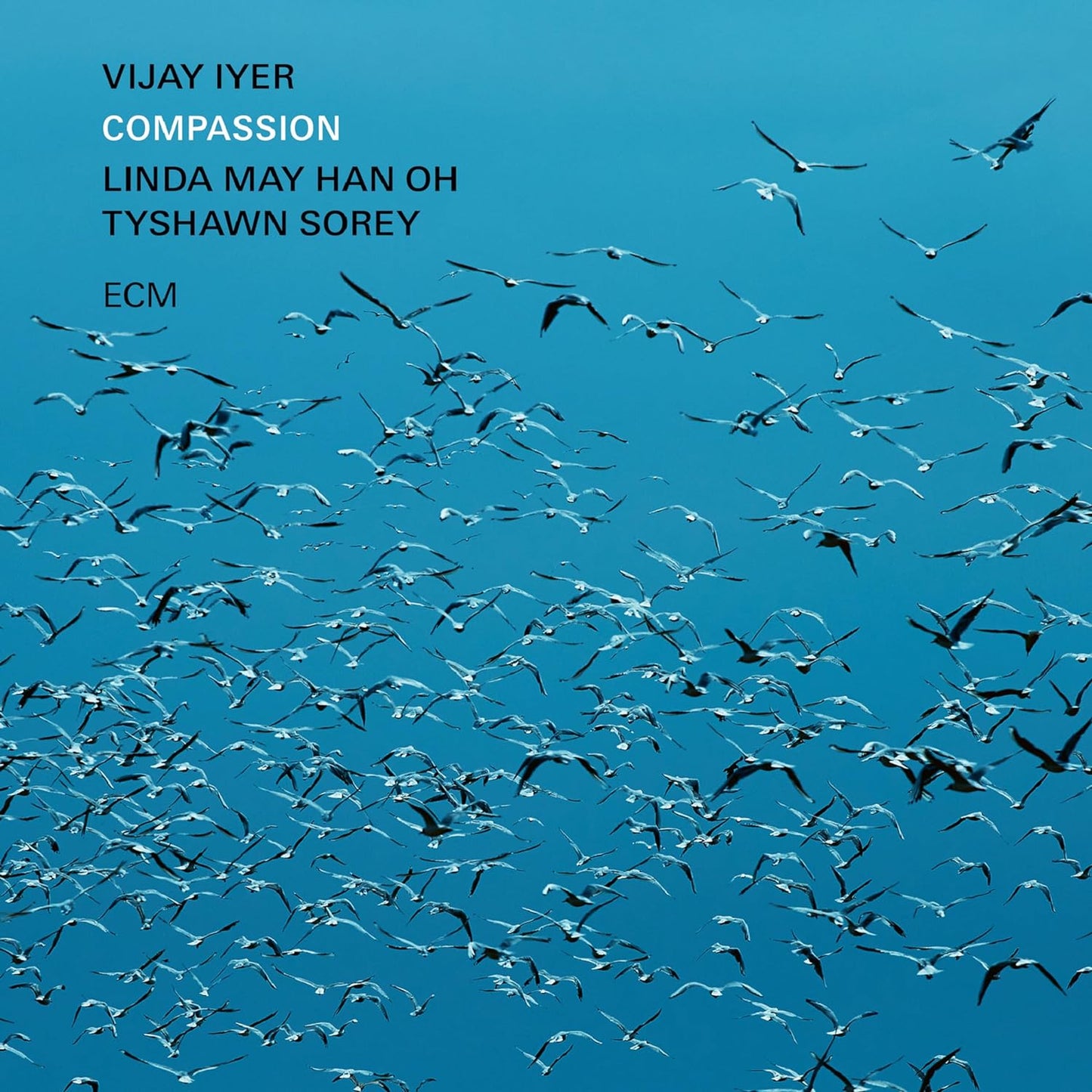 VIJAY IYER - Compassion (Vinyle)