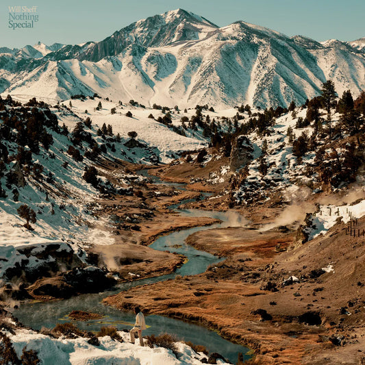 WILL SHEFF - Nothing Special (Vinyle)