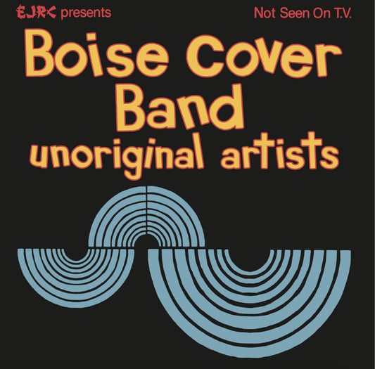 BOISE COVER BAND - Unoriginal Artists (Vinyle)