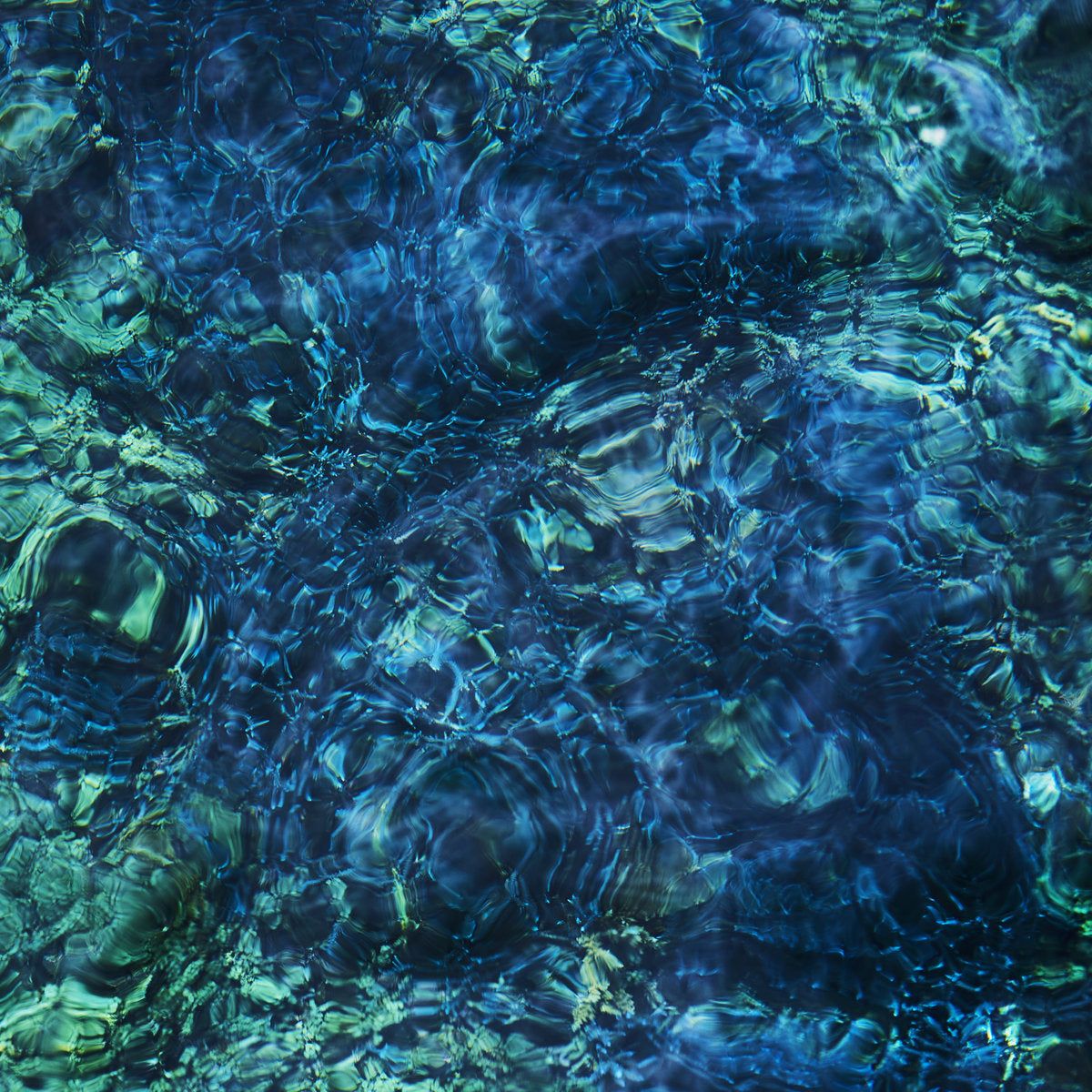 ICHIKO AOBA - Luminescent Creatures (Vinyle) - Hermine / Psychic Hotline