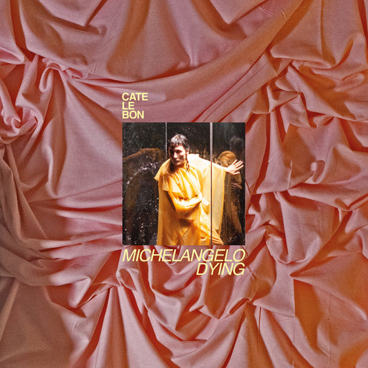 CATE LE BON - Michelangelo Dying (Vinyle)
