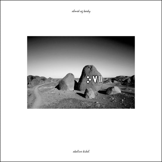 AHMED AG KAEDY - Akaline Kidal (Vinyle)