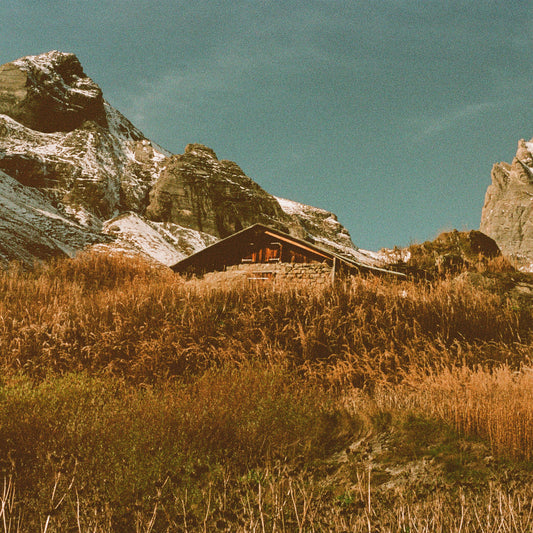 YOO DOO RIGHT - Build and Rest by the Shepherd's Light (Vinyle) PRÉCOMMANDE (6 novembre)
