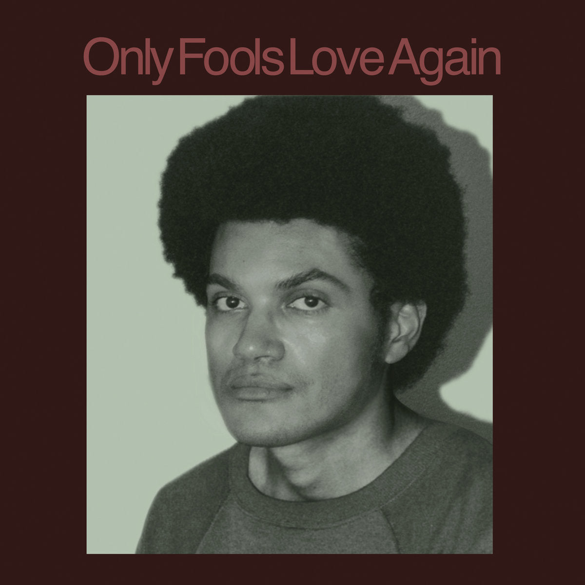 DANNY AYALA - Only Fools Love Again (Vinyle)