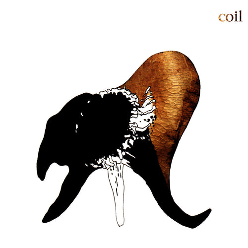 COIL - Black Antlers (Vinyle) PRÉCOMMANDE