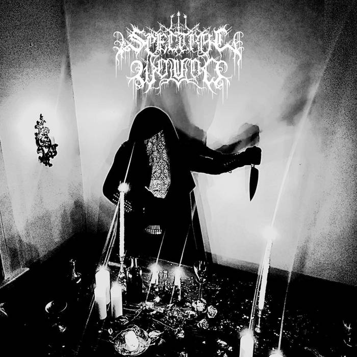 SPECTRAL WOUND - Songs Of Blood And Mire (Vinyle)