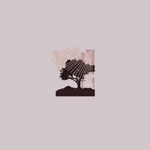 LAND OF TALK - Performances (Vinyle)